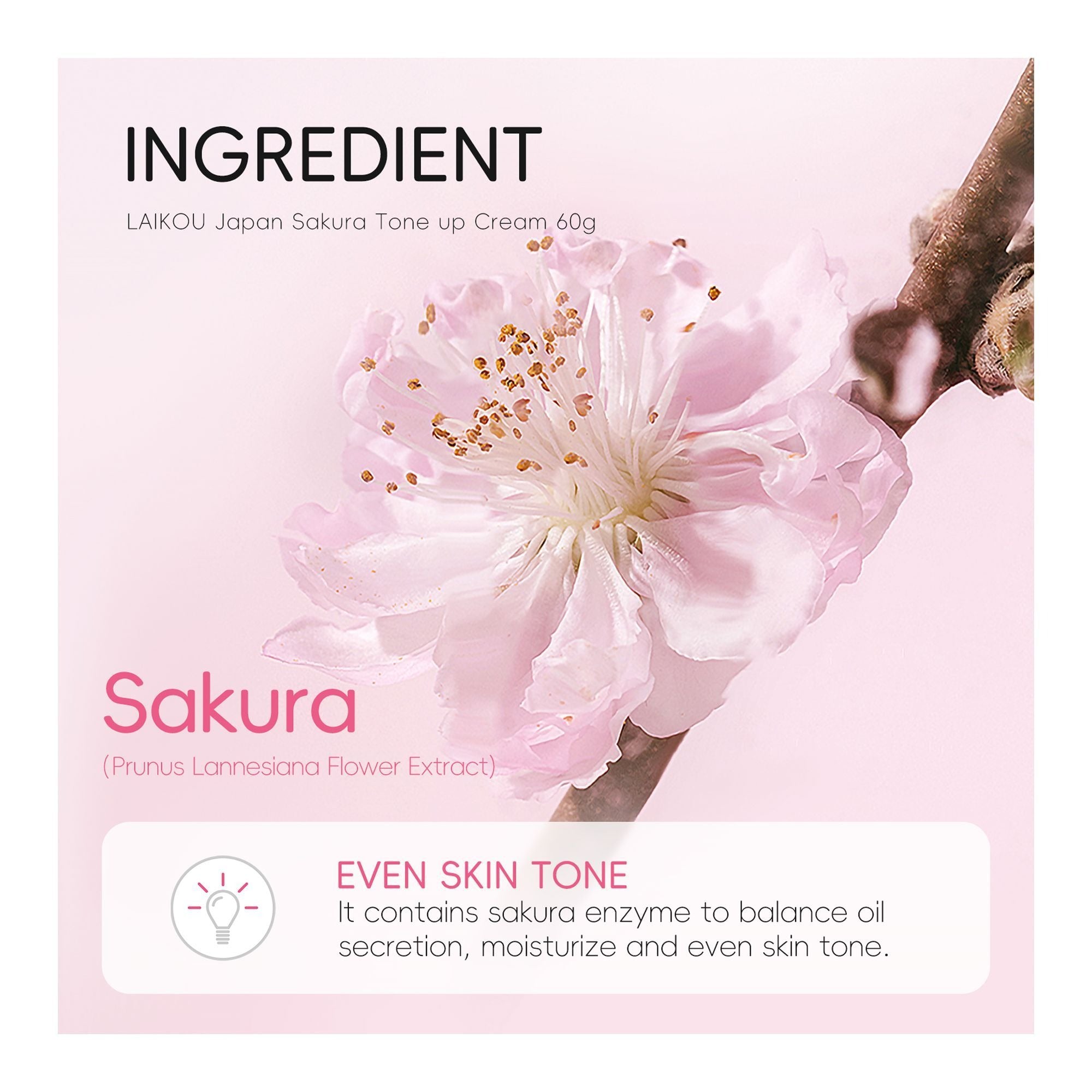 Laikou Japan Sakura Tone Up Cream